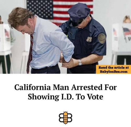 photo_2024-11-02_19-29-16