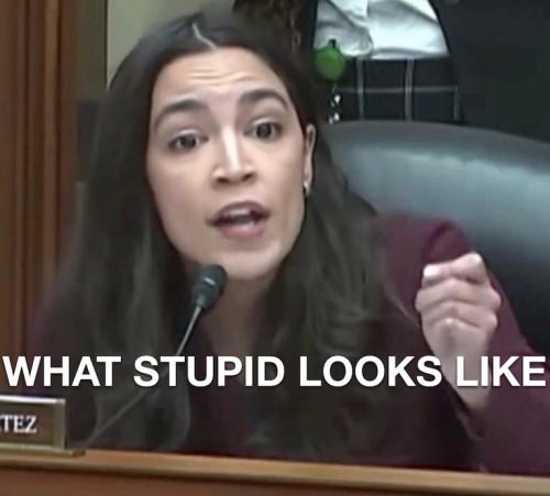 AOC STUPID