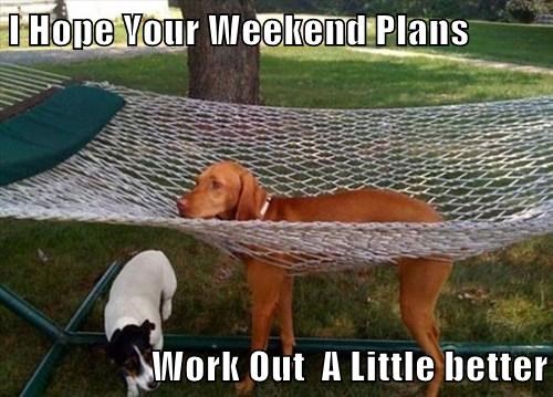 mine-are-starting-out-kinda-ruff