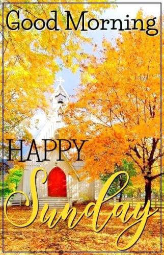 fall morning sunday 4