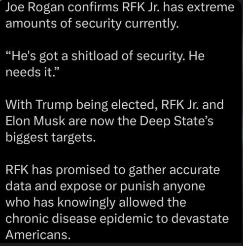 photo_2024-11-30_14-11-26