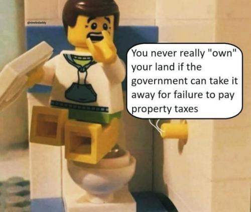 image_1C88E730-F9FA-4195-BB69-CE806E098C5B