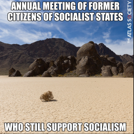 Screenshot 2024-11-11 163712