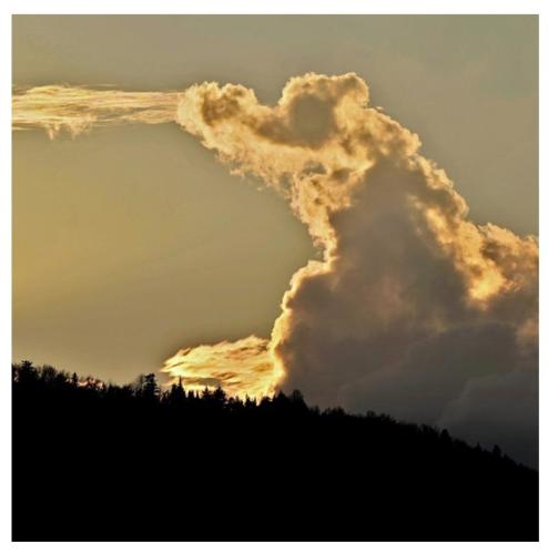 c1d90a9a-ab63-4a89-b8ee-39a1f49e2cad