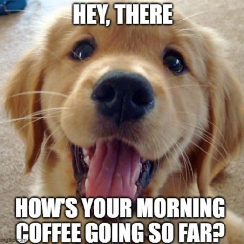 d0af8c27f8cf245b461e8e0253d6fe54