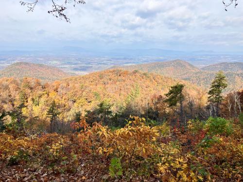 4AD0B1CE-D881-43B2-8B2D-3628A8D5817E