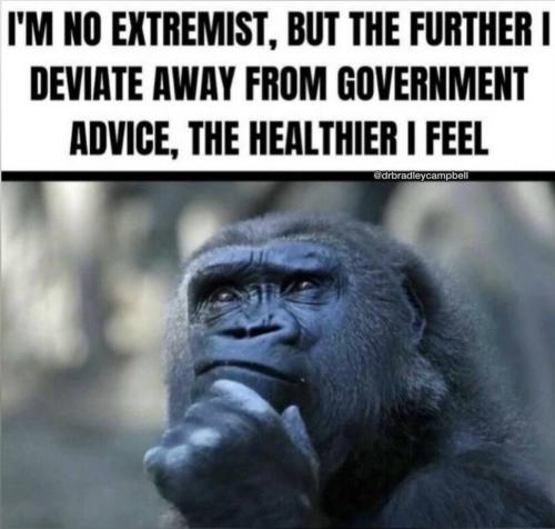 IMG_20241122_034446_587