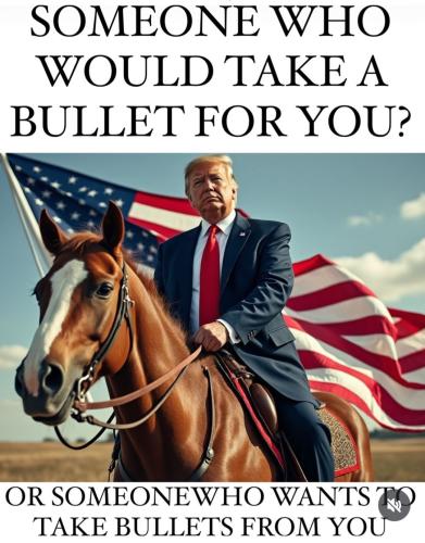 Screenshot_20241105_131240_Instagram