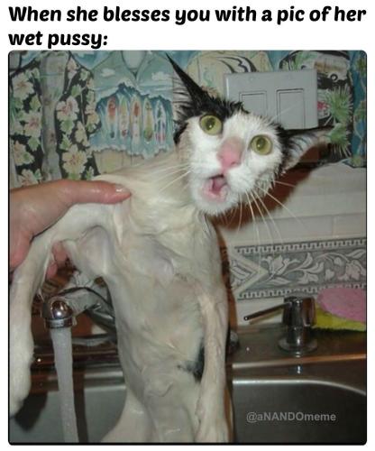 image_9FAEEF8B-1712-4735-8D90-3A62130F9B21