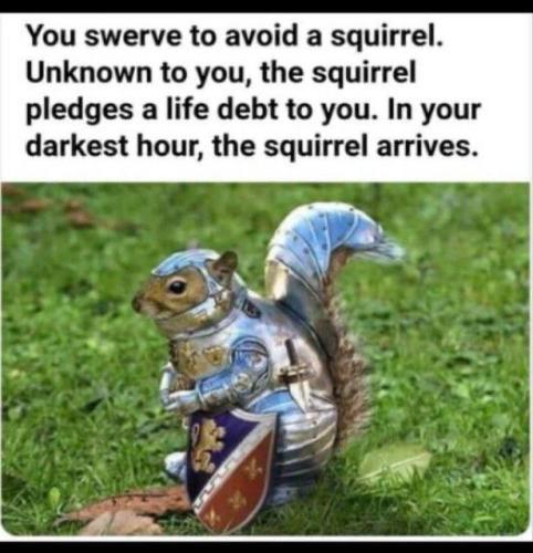 photo_2024-11-03_20-15-52