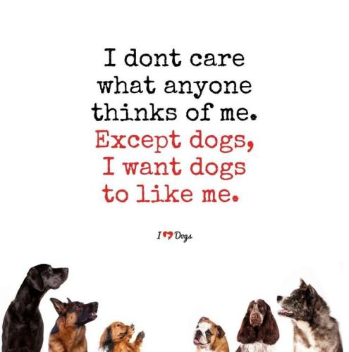 05a59c3bd5e7d574a5efcce32fdf8096