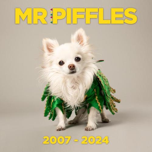 c908ae39-407f-447e-a999-0fbf46d89625