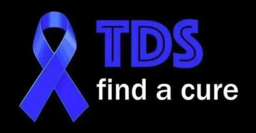 image_2024-11-19_062703427