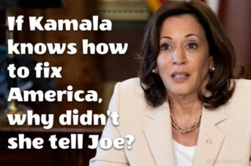 image_2024-11-05_131456123