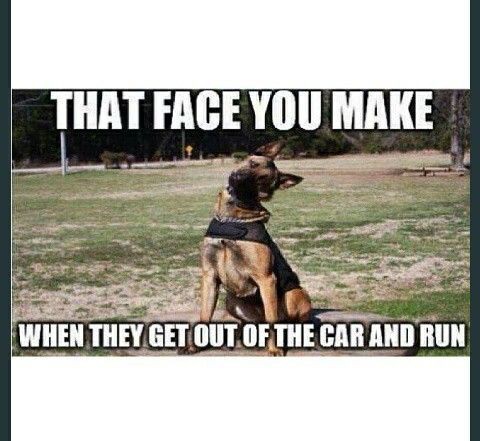 af64cdd0cc10e573ec8e23609a05a921