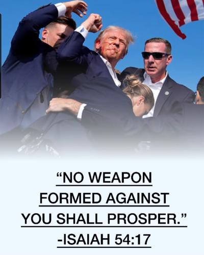 Screenshot_20241104_090739_Instagram