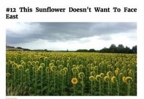 Screenshot_20241121-081020_Gallery