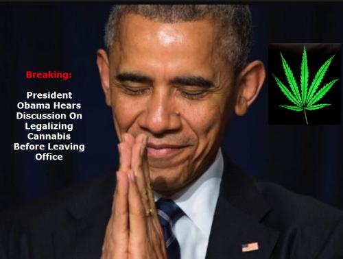 POT obama