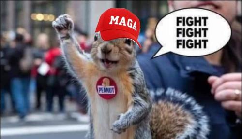 c400f30f-239f-47b3-923c-6e6c89a7d66d