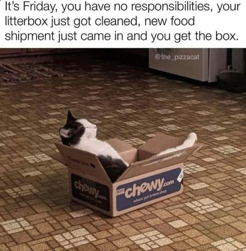 new-food-shipment-just-came-and-get-box-the_pizzacat-chewy-en-chewycom-where-pet-lovers-shop