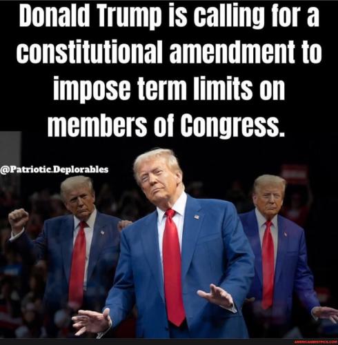 bc45bf09cdc1d65d13bacae565c5a6c6bf25cf5ac5731035e9d6bcaa42ef0578_1