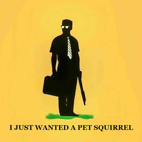 petsquirrel