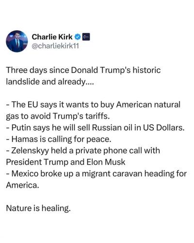 FB_IMG_1731111661440