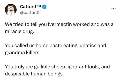 IMG_20241113_153354_518