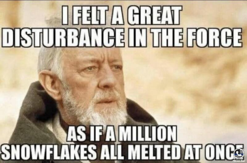 1000007329
