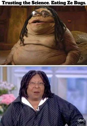 Trusting the Science. Eating Ze Bugs. Whoopi.960px