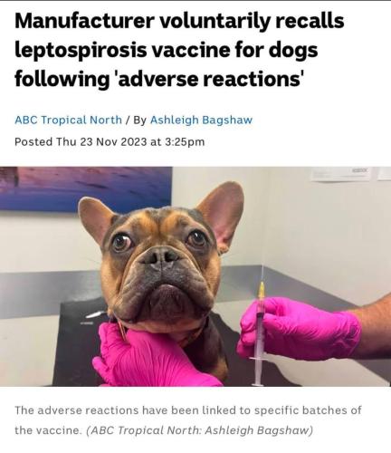 photo_2024-11-28_22-50-02