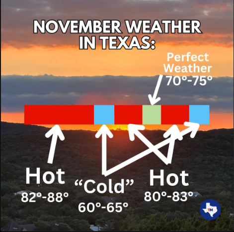 Screenshot 2024-11-11 163732