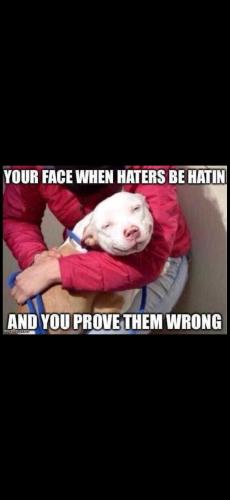 Screenshot_20240712_165404_Photos