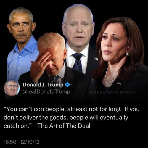 photo_2024-11-12_23-42-18