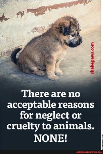 b9c6fe7860c515aeccf8ca27f60f321d1b464da281f7e04d48415a49f1f7f621_1