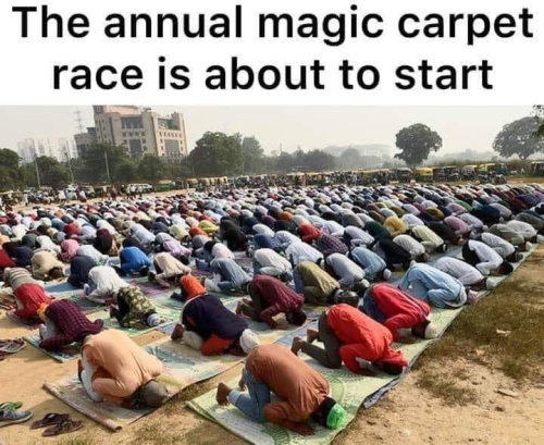 image_428DCBD7-AD20-4E33-8A78-91BDAA53C6B7