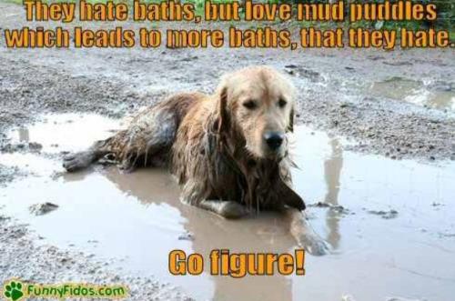 ab9b15bdfad62ab3a49d73fb89e324d9