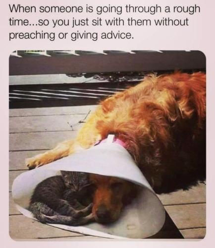 0f750de1bad8ed538ee44b97143bb262