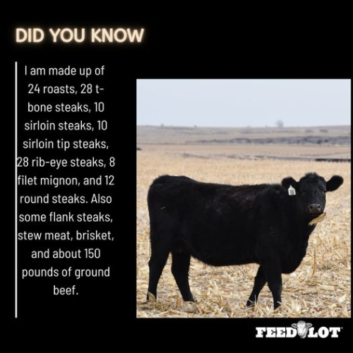 image_91C280DB-885A-4A43-B990-05620BE5A2BE