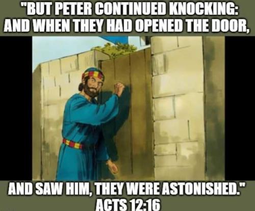 eae81f01-b6f0-4017-b525-da877cfdcf34