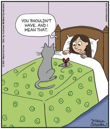 aeb92831ee2ae502b02496aff3283992