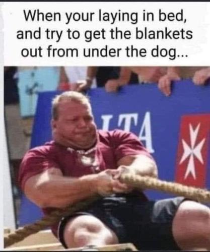 466420209_623131223387300_792395349119386129_n