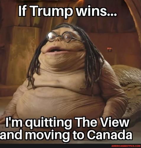 ff9a267bd3ba83a3ca507d2c7a78aec62a6c75b6ef888fe6ea0a5d8e408849e2_1