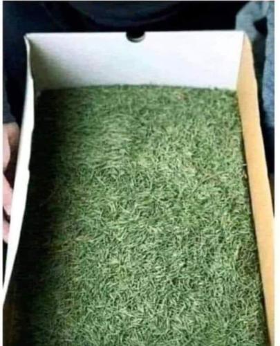 DA883493-7C8F-4832-B10E-2D6769A7B561