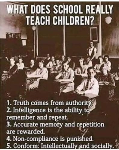 Screenshot_2024-11-02-20-53-55-56_a23b203fd3aafc6dcb84e438dda678b6