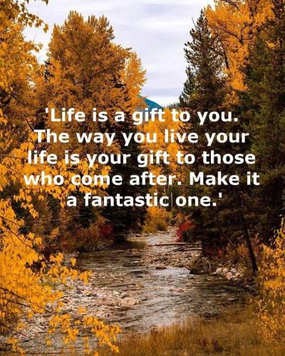 8527722e-5721-4a5f-aa8b-ef85bc1e337c