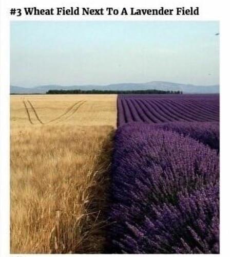 Screenshot_20241121-080852_Gallery