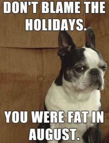 if you were fat in august