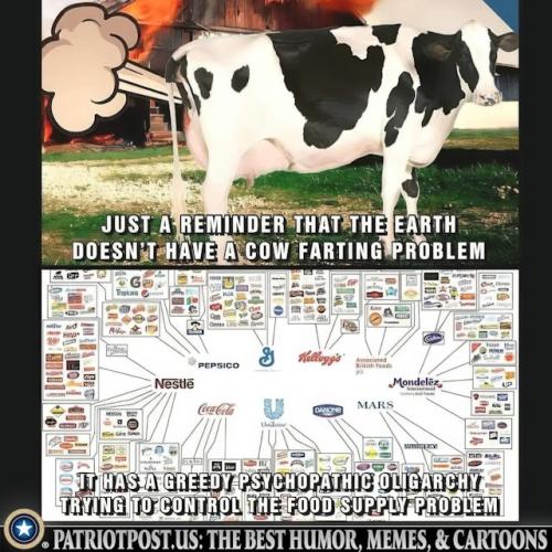 01JD0405JN3ZKDK1MS18JFGFGN