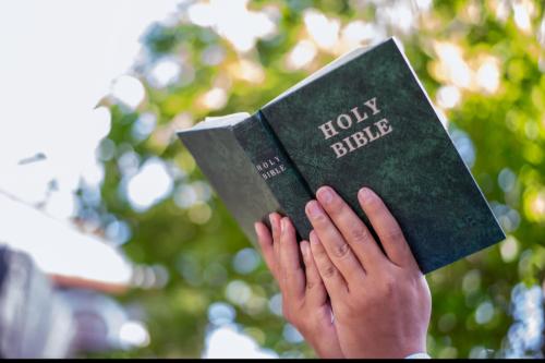 Screenshot_20241115_085252_Wimkin Free Speech Social Media